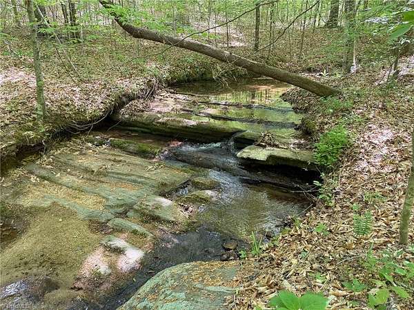 64.9 Acres of Recreational Land for Sale in Reidsville, North Carolina