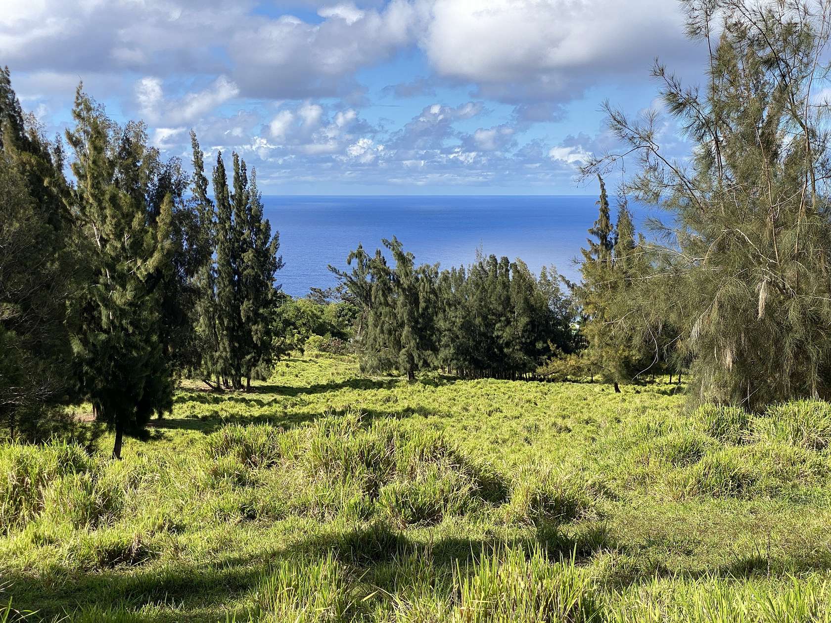 47.1 Acres of Recreational Land & Farm for Sale in Honokaa, Hawaii