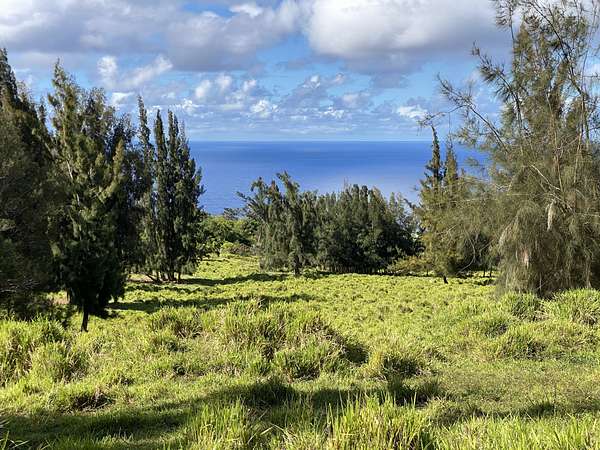 47.1 Acres of Recreational Land & Farm for Sale in Honokaa, Hawaii