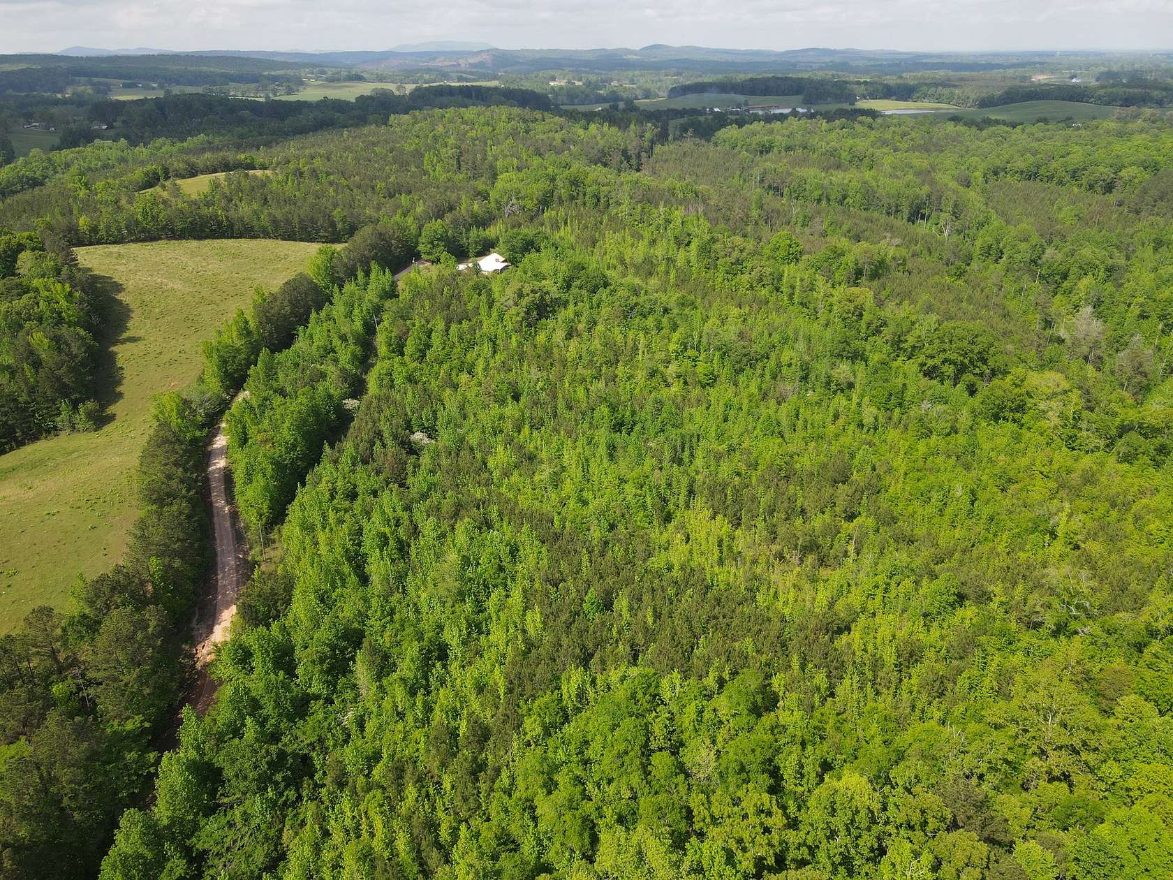 18 Acres of Land for Sale in Ashland, Alabama