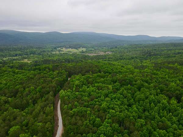 165 Acres of Recreational Land for Sale in Delta, Alabama