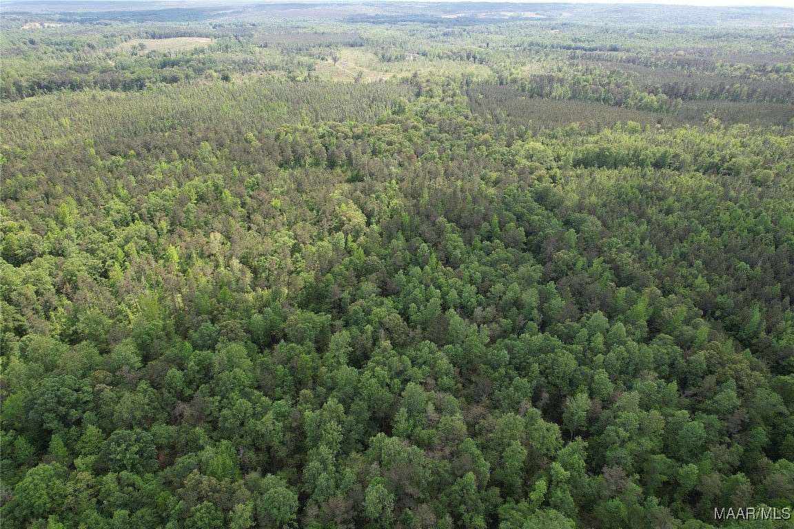 160 Acres of Recreational Land for Sale in Marbury, Alabama