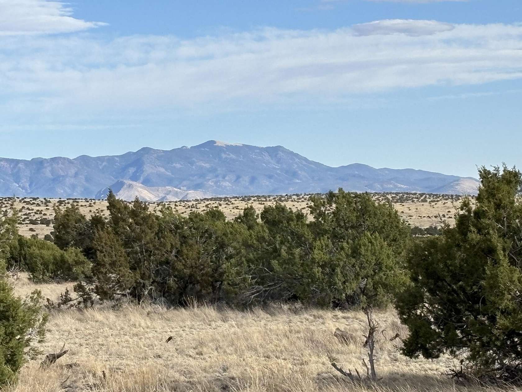 20 Acres of Land for Sale in Magdalena, New Mexico