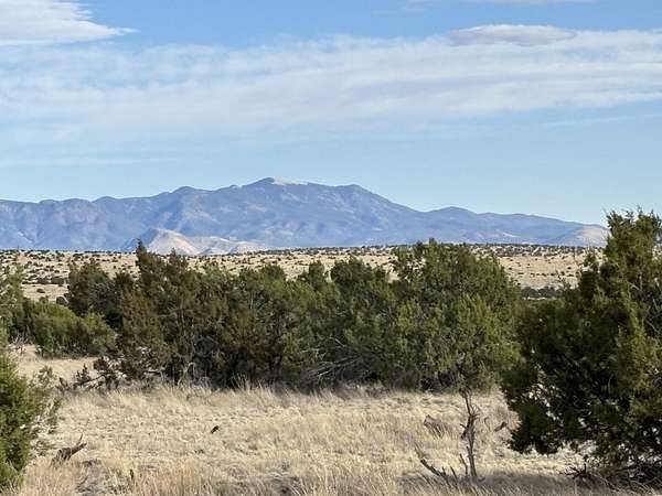 20 Acres of Land for Sale in Magdalena, New Mexico