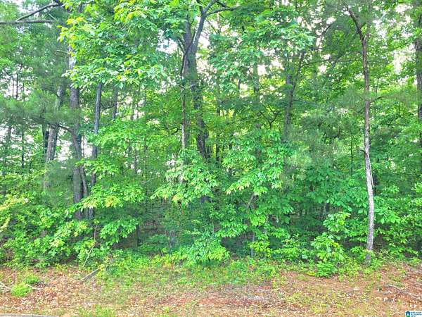 0.45 Acres of Residential Land for Sale in Talladega, Alabama