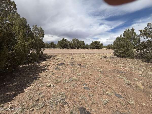 2.5 Acres of Residential Land for Sale in Show Low, Arizona