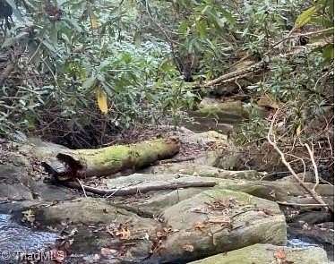 8 Acres of Residential Land for Sale in Westfield, North Carolina