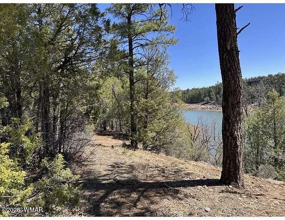 49 Acres of Recreational Land for Sale in Show Low, Arizona