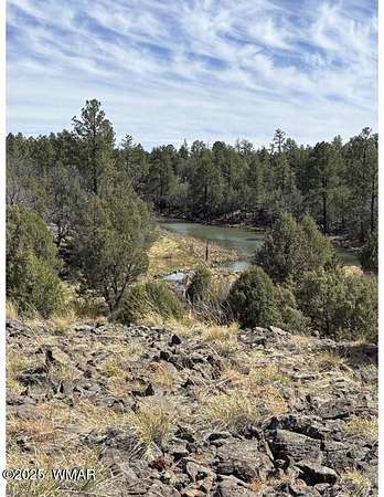 11.3 Acres of Land for Sale in Show Low, Arizona