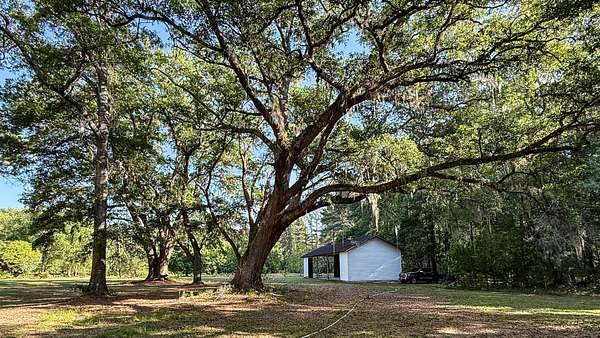 70 Acres of Recreational Land for Sale in Walterboro, South Carolina