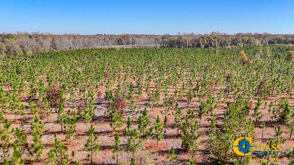 13 Acres of Commercial Land for Sale in Jefferson, South Carolina