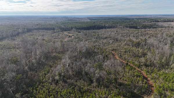 118 Acres of Recreational Land for Sale in Luverne, Alabama