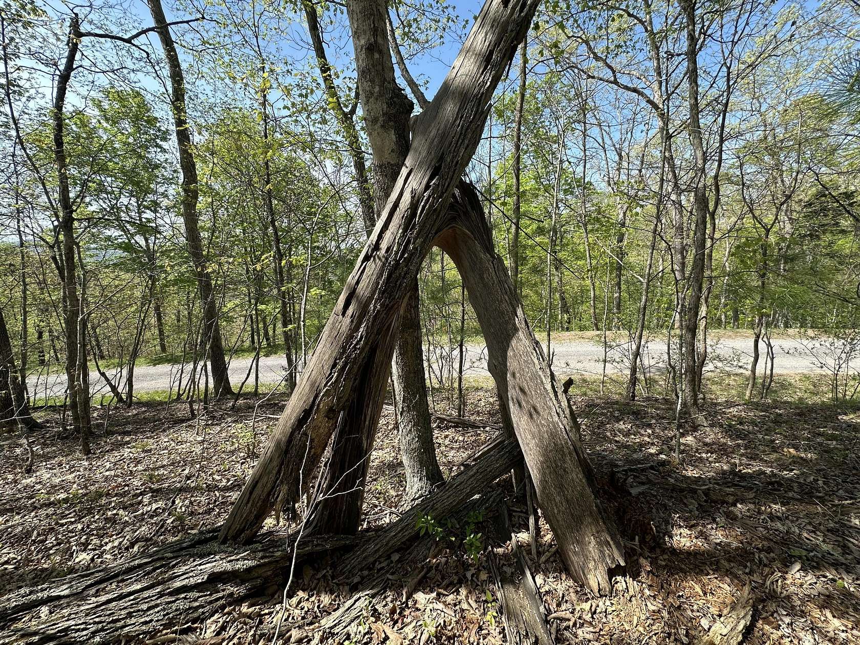 3 Acres of Residential Land for Sale in Caldwell, West Virginia