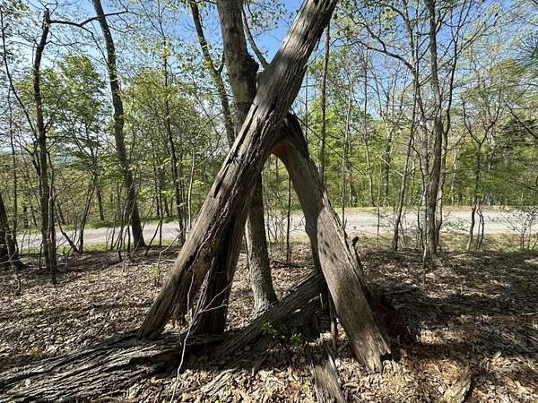 3 Acres of Residential Land for Sale in Caldwell, West Virginia