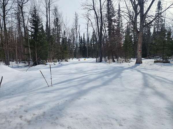 Residential Land for Sale in Barbeau, Michigan