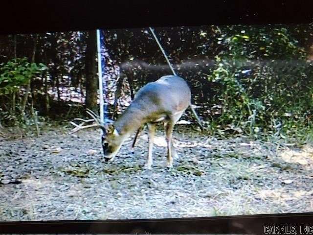 60 Acres of Recreational Land for Sale in Prescott, Arkansas