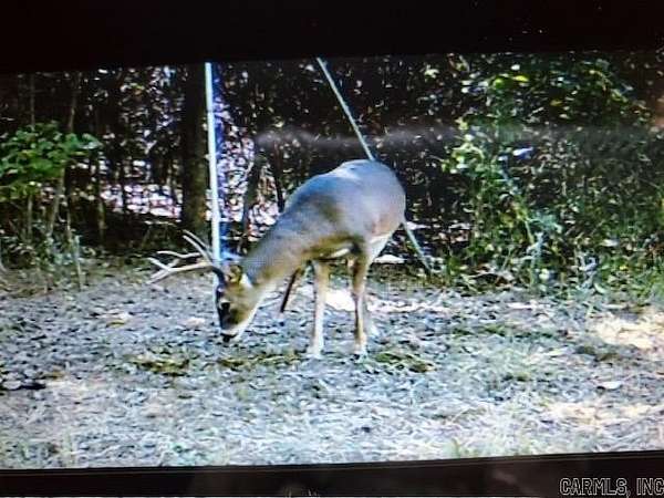 60 Acres of Recreational Land for Sale in Prescott, Arkansas