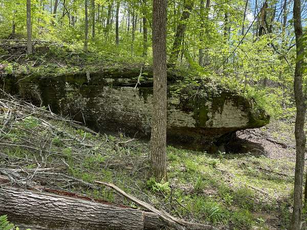 38.8 Acres of Recreational Land for Sale in Somerset, Kentucky