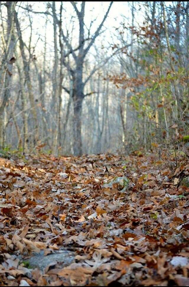 30 Acres of Recreational Land for Sale in McKee, Kentucky