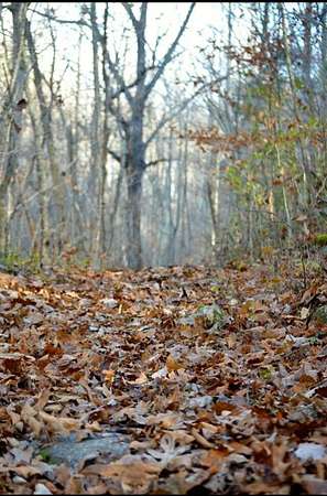 30 Acres of Recreational Land for Sale in McKee, Kentucky