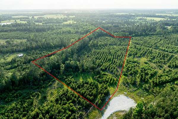 10 Acres of Recreational Land for Sale in Lovelady, Texas