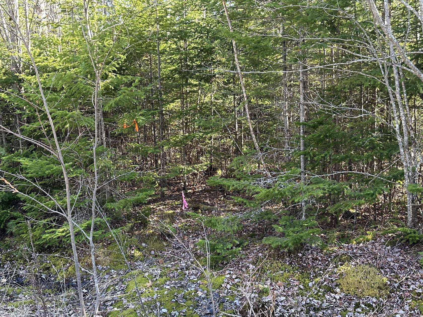 2.43 Acres of Residential Land for Sale in Gouldsboro, Maine