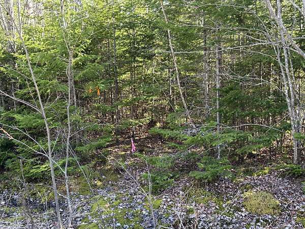 2.43 Acres of Residential Land for Sale in Gouldsboro, Maine