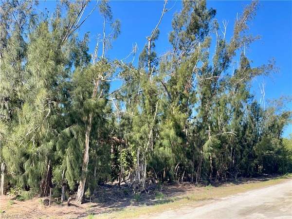 1 Acre of Residential Land for Sale in St. James City, Florida