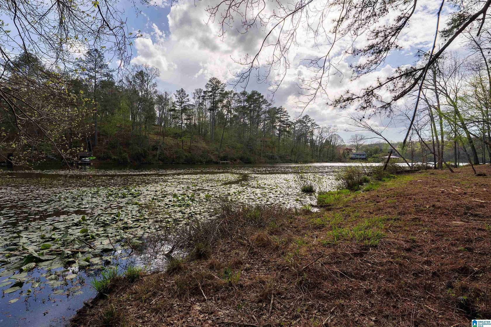 3 Acres of Residential Land for Sale in Oneonta, Alabama