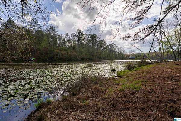 3 Acres of Residential Land for Sale in Oneonta, Alabama