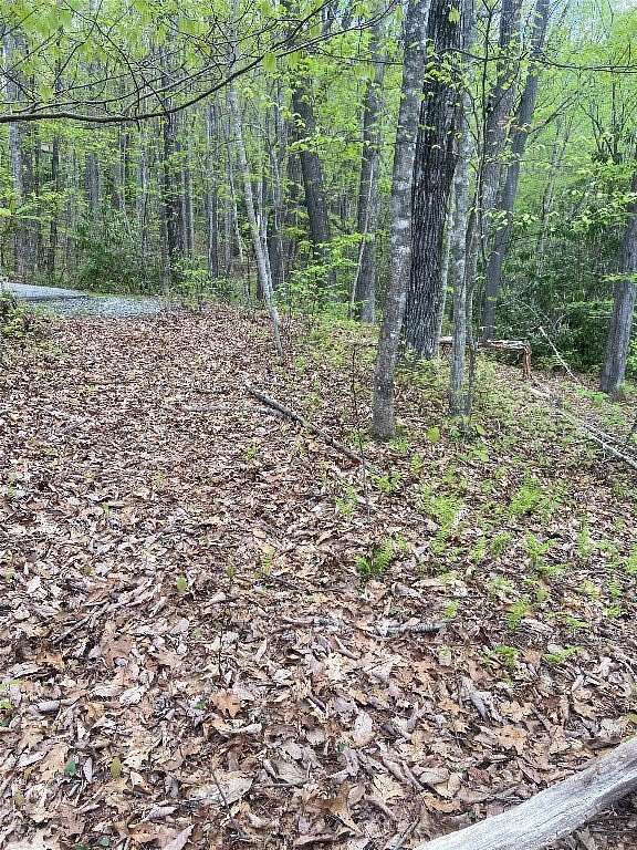 0.79 Acres of Residential Land for Sale in Sapphire, North Carolina