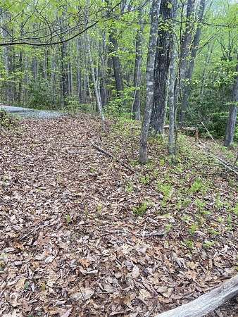0.79 Acres of Residential Land for Sale in Sapphire, North Carolina