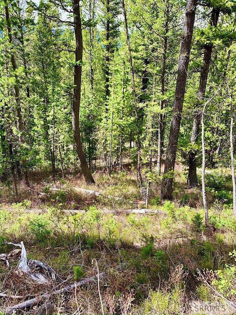 4.55 Acres of Residential Land for Sale in Island Park, Idaho