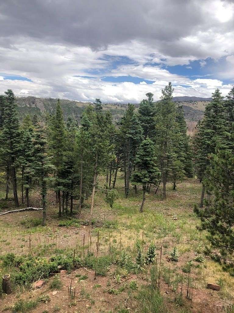 2 Acres of Land for Sale in La Veta, Colorado