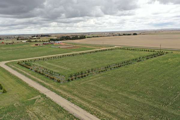 4.28 Acres of Residential Land for Sale in Bowman, North Dakota