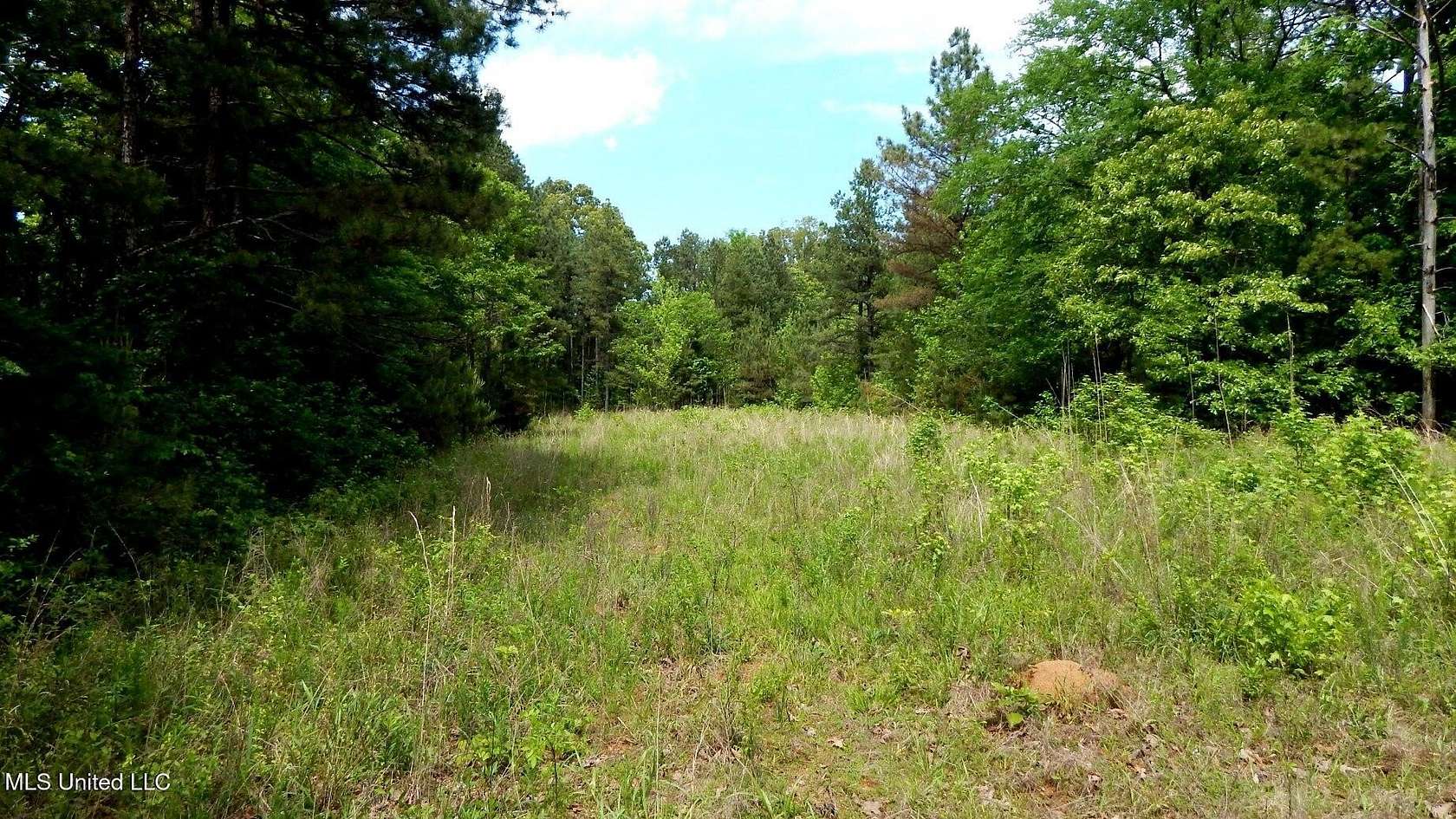 3.62 Acres of Land for Sale in Falkner, Mississippi