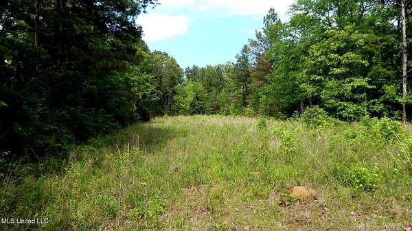 3.62 Acres of Land for Sale in Falkner, Mississippi