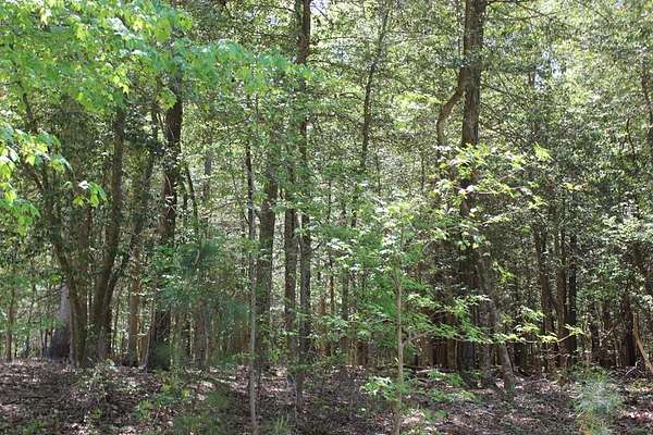 0.24 Acres of Land for Sale in Greenbackville, Virginia