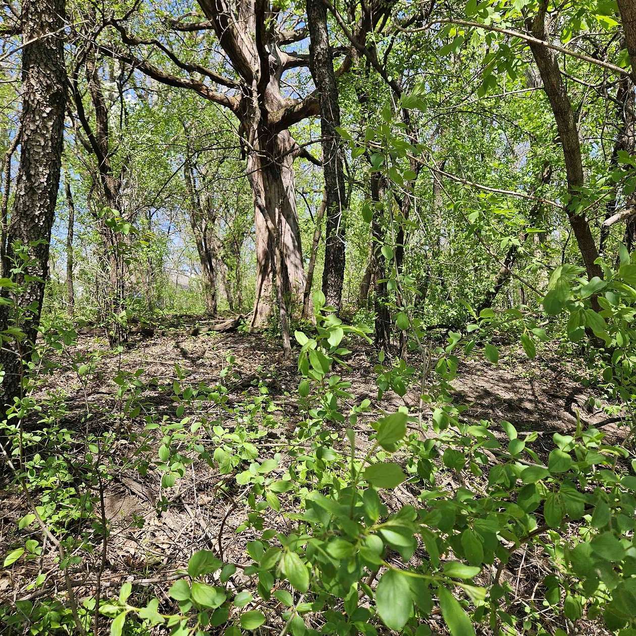 0.95 Acres of Residential Land for Sale in Janesville, Wisconsin