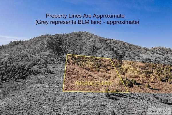 32.7 Acres of Recreational Land for Sale in Bancroft, Idaho