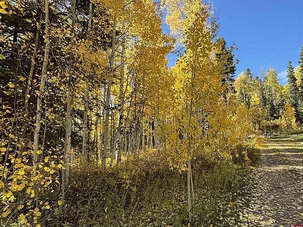0.71 Acres of Residential Land for Sale in Durango, Colorado