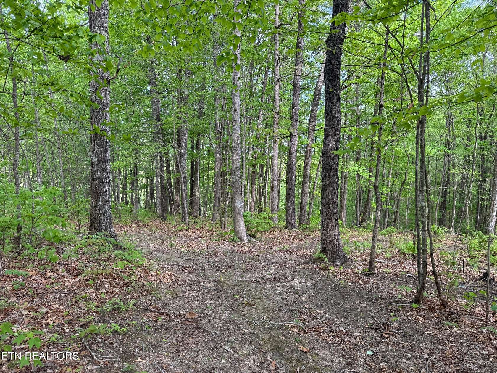 4.38 Acres of Land for Sale in Jamestown, Tennessee