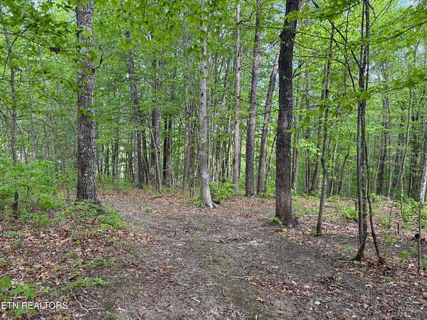 4.38 Acres of Land for Sale in Jamestown, Tennessee