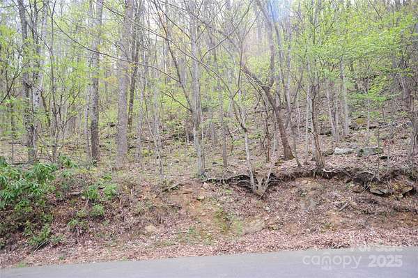 2.36 Acres of Residential Land for Sale in Black Mountain, North Carolina