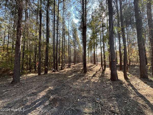 1 Acre of Residential Land for Sale in New Bern, North Carolina