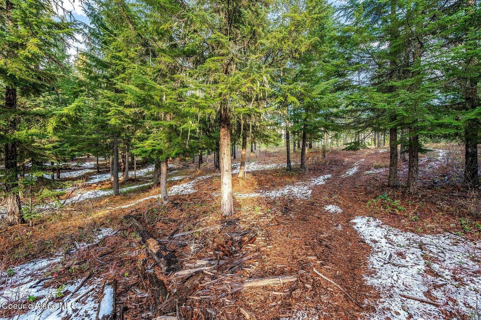 10 Acres of Land for Sale in Nordman, Idaho