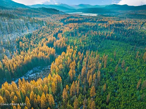 10.3 Acres of Land for Sale in Nordman, Idaho