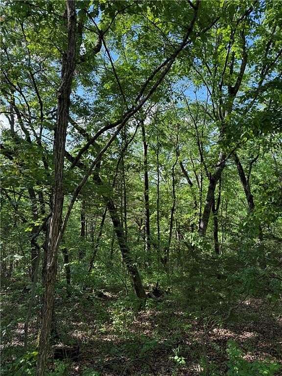 0.24 Acres of Residential Land for Sale in Holiday Island, Arkansas