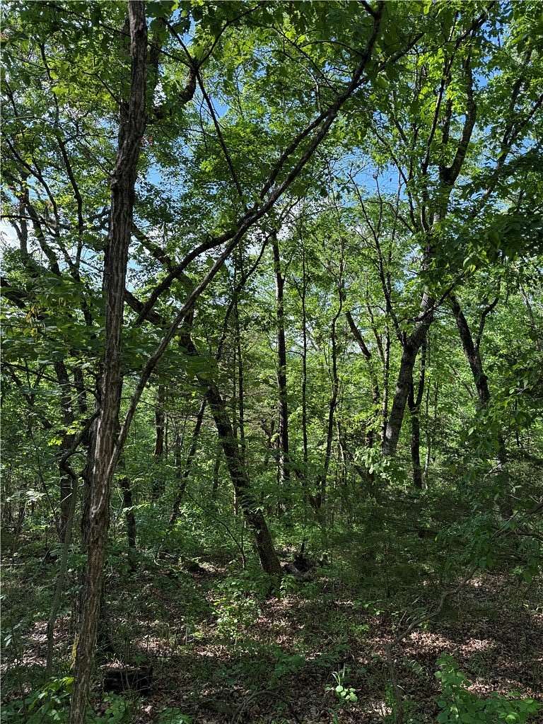 0.24 Acres of Residential Land for Sale in Holiday Island, Arkansas
