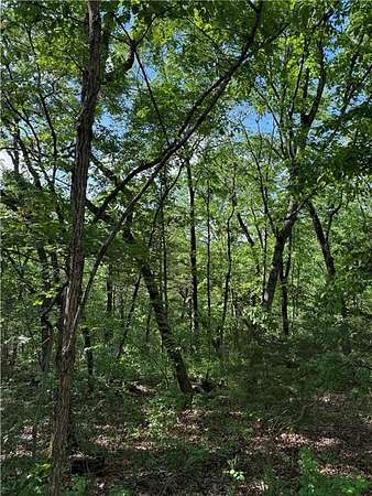 0.24 Acres of Residential Land for Sale in Holiday Island, Arkansas